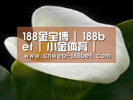 产品名称七