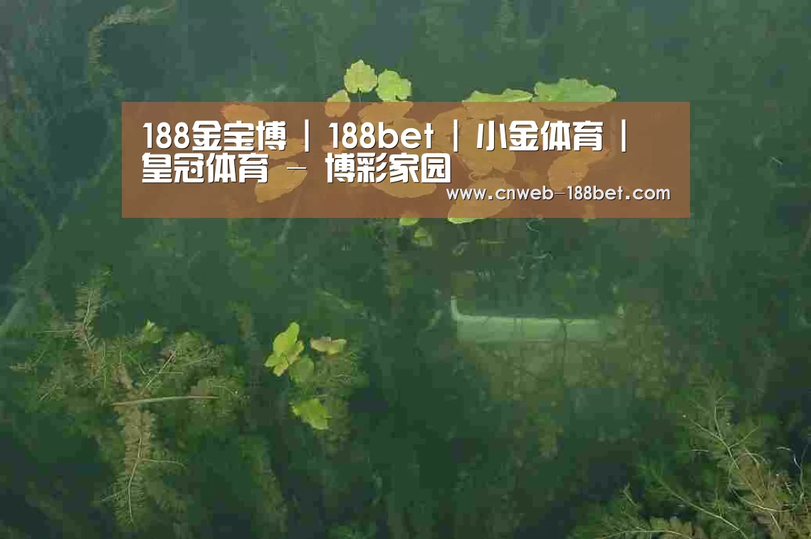 案例展示三