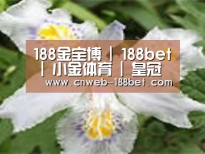 产品名称二