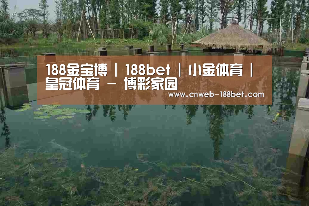 案例展示二