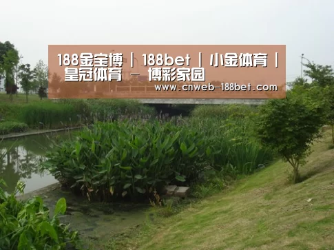 案例展示四