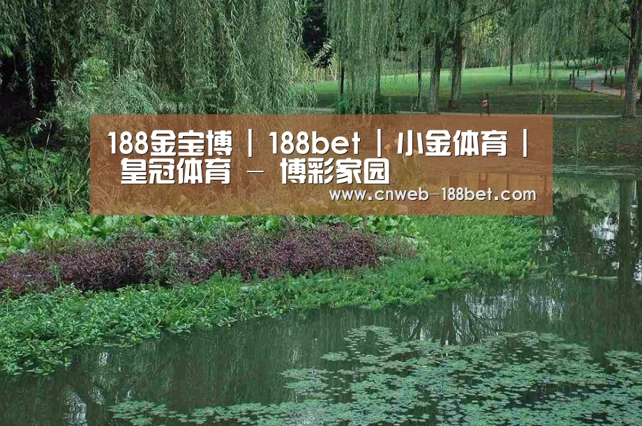 案例展示一