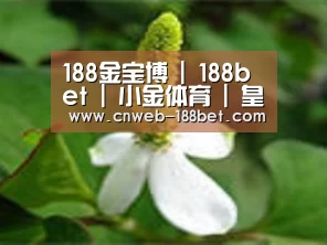 产品名称三