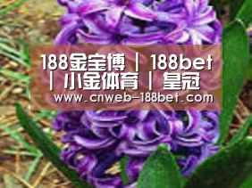 产品名称八