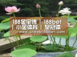 产品名称一