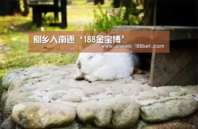 别乡人南还‘188金宝博’(图4) 188金宝博