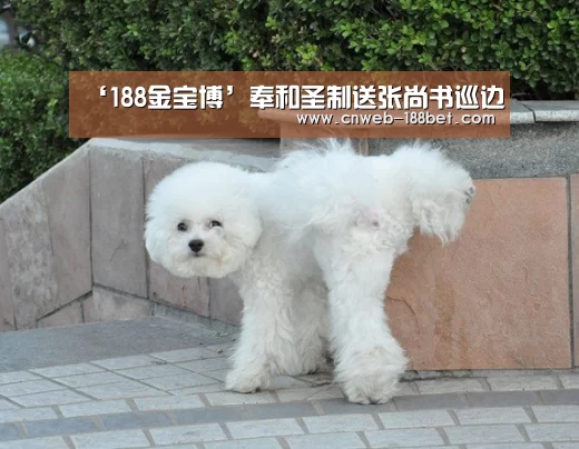188金宝博